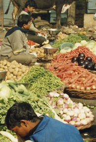 Rising food prices biggest concern for Indians