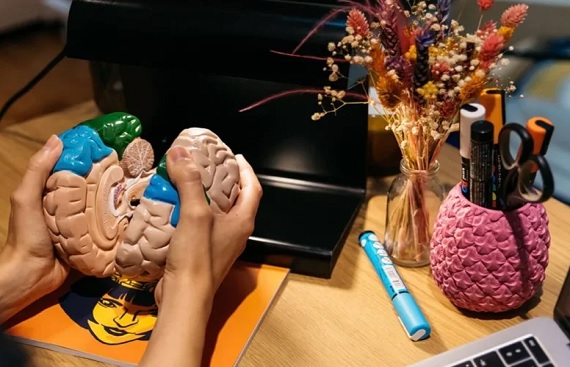 Why NeuroTech Is the Most Important Startup Trend of the Next Decade