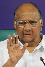 Youth Slaps Sharad Pawar