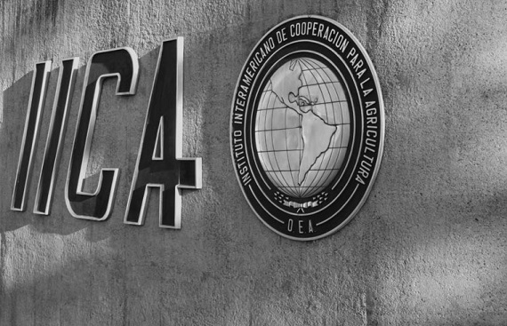 IICA Brings ESG Leaders Together at NAIL Meet in Goa