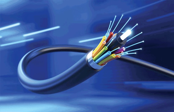 Dynamic Cables Q1 Profit Falls 22.75%, Order Book Surges to Rs 734 Crore