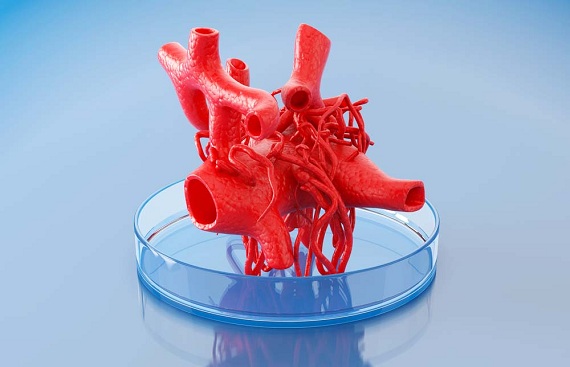 Bioprinting and 3D Organ Fabrication the Forefront of Medical Advancements