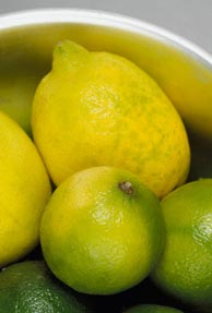 Tangy fruits help stay slim