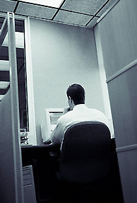 Techies whirl away hours watching porn