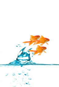 Three top executives quit Satyam BPO