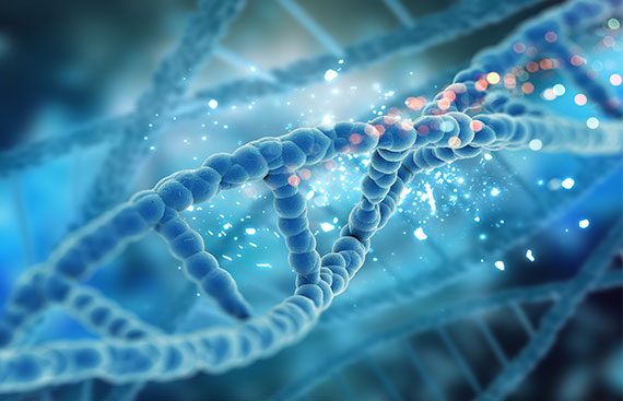 Hexarelin Peptide Guide