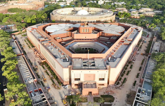 Confused about what to do after graduation? 