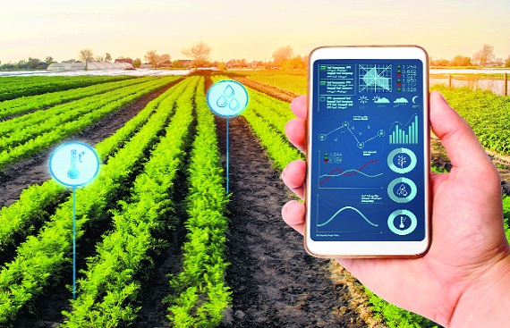 Impact investors flock to startups in agritech