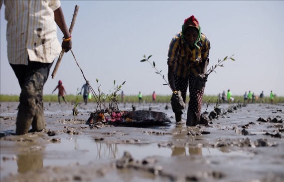 Amazon announces US$1.2 million investment to preserve Mumbai’s flamingo habitat and More