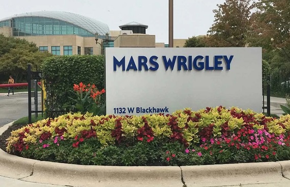 Mars Wrigley elevates Kalpesh Parmar as GM Asia; names Tamer Kadry as India head