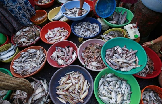 India's seafood exports likely to reach all-time high of US $ 8 bn