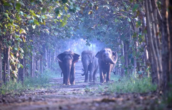 Supreme Court Deems Jamnagar 