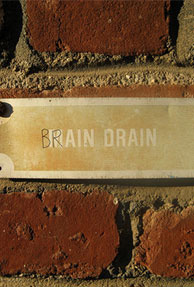 Is America at a stake of brain drain?