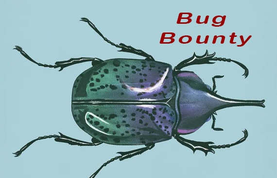 Importance of Bug Bounties in Product Development