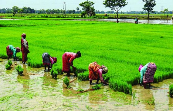 Cabinet approves arranging 2 lakh primary agricultural credit societies 