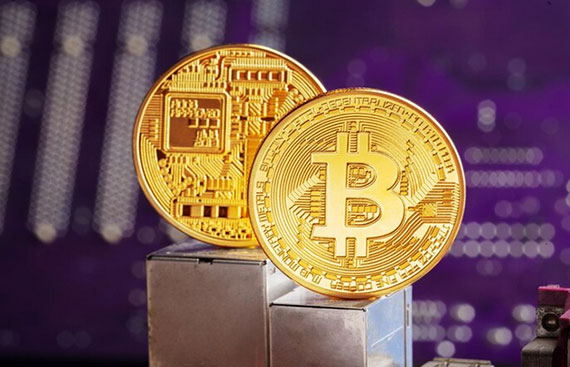 Satoshi's Shadows: Profiling Altcoins Influenced by Bitcoin