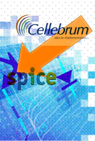 Cellebrum Technologies rebrands itself to Spice Digital