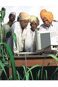 Indians are the most socially conscious consumers