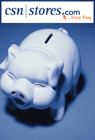 Niraj Shah co-founded CSN Stores raises $165 Million