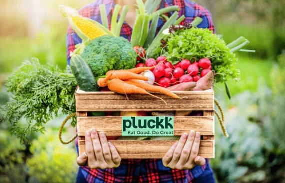 Food-tech startup Pluckk names Kunwarjeet Grover its head of growth