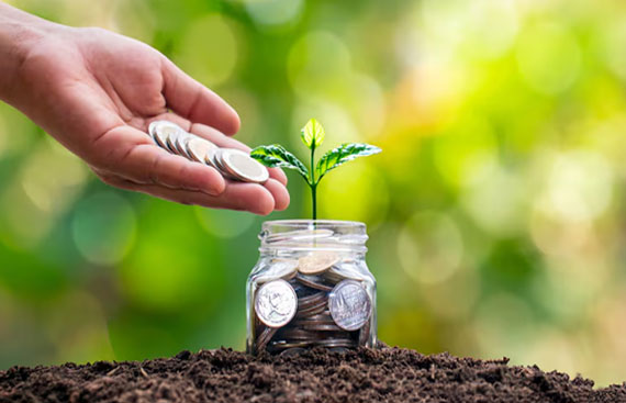 Why Most Investors Lose Money In Small-Cap Funds