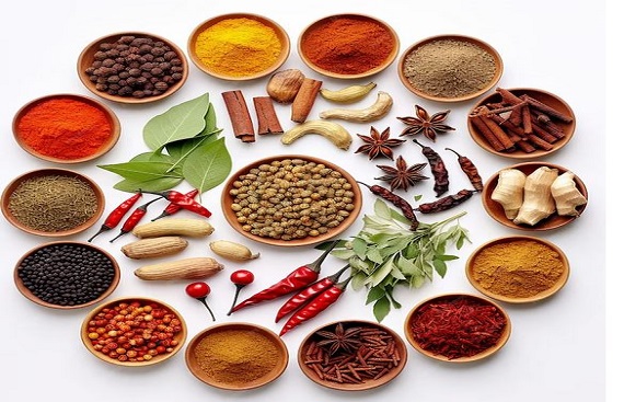 Shilpa Shetty-partnered Spices Startup Zoff Foods targets Rs.160 crore in FY25