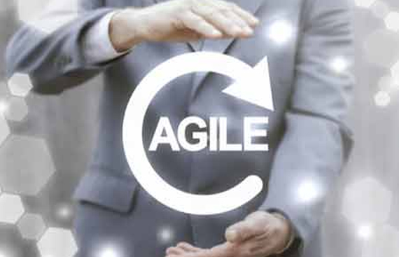 Key Traits of an Agile Organization