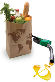 High prices of food, fuel threatening the poor: World Bank