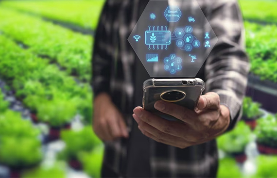 Passion for Entrepreneurship drives Microsoft Employee to quit high-salaried Job