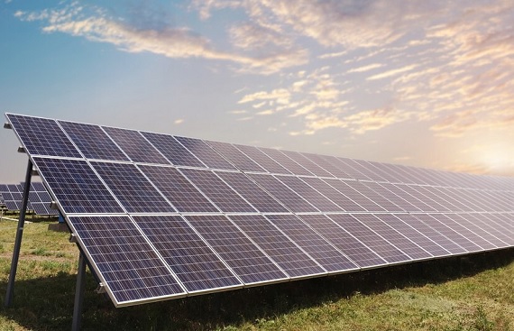 Tata Power to Boost FY25 Capex 66%, Spend 50% on Renewables Energy