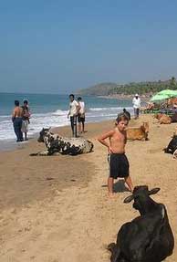 50 Years of Liberation: Is Goa Losing its Shine?