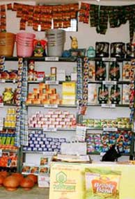 Indian Rural Consumer Market Reaches $6 Billion