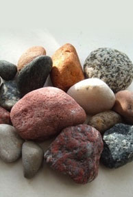 Become Multilingual to Succeed Your Start-up