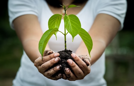 Edtech Startup MyTAG APP Launches 'Plant for Life' Campaign to encourage Students to Create a sustainable future