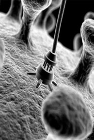 Nanotech Products: The big 'small' future