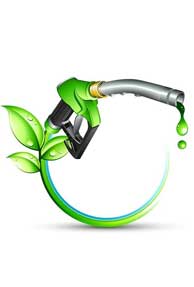 N-power the new green fuel, says PM's scientific adviser 
