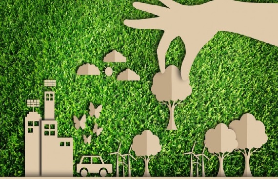 Haryana's Chief Secretary targets grassroots air pollution reduction