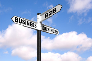 B2B Models of Entrepreneurship: The Blessing or Mess-Up!