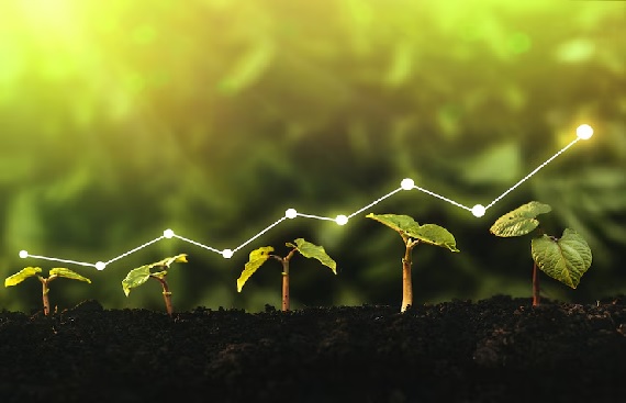 Arya.ag Appoints Priyanka Seth Wadhera as Group CFO to Fuel Growth