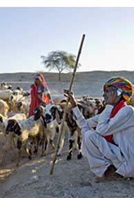 Rural market is now the sweet spot for chipmakers