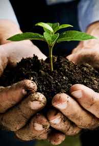 A Way To Give Back To The Industry