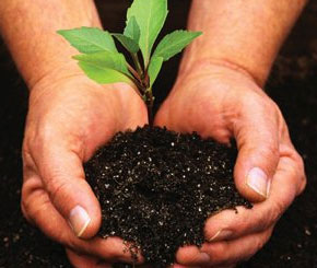 sponsoring, events, corporate sponsors, promote products