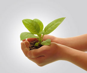 Myths about Innovation