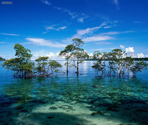 Andaman and Nicobar Islands