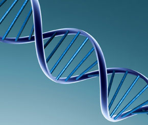 Most Promising Startup Opportunities