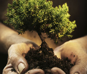 5 Ways Money Can Buy Happiness