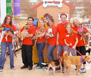 5 Tips to Save Money on Pets