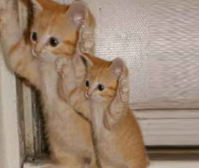 What should You Consider While Naming Your Startup?