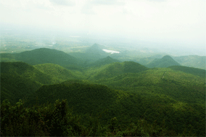 Biligirirangana Hills