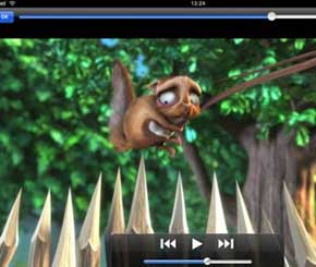 iPad to play any video format